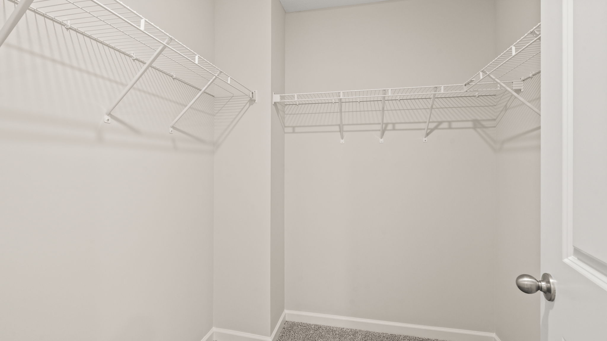 Large walk in closet with carpeted floors.