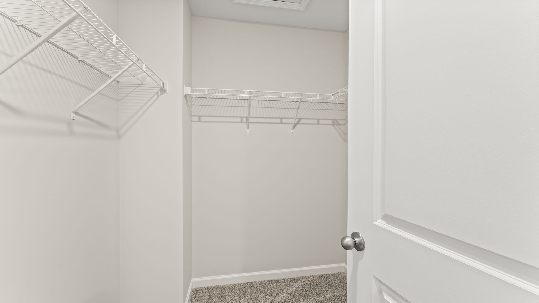 Large walk in closet with carpeted floors.