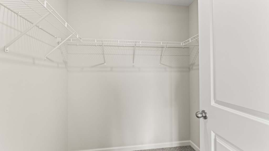 Closet with carpeted floors.