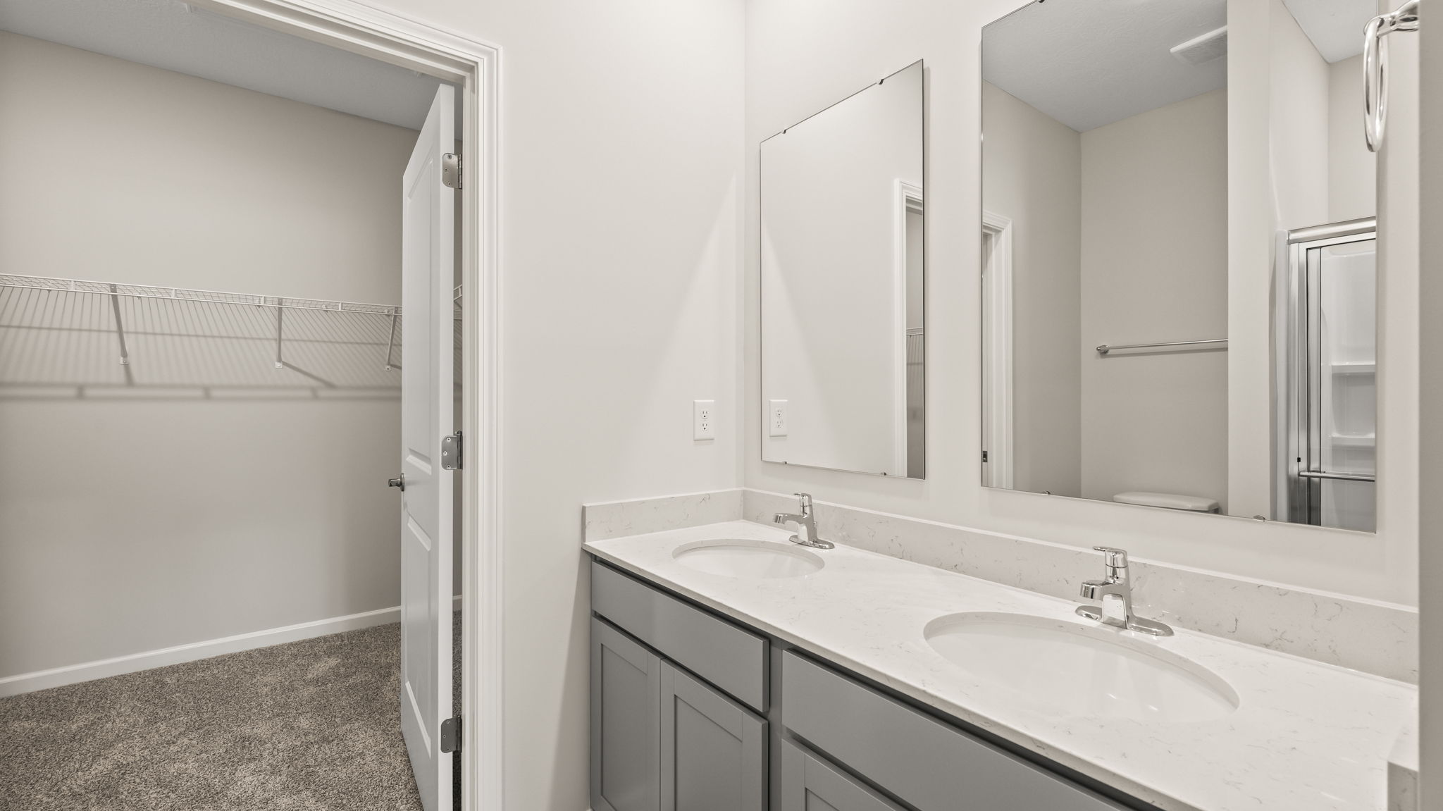 primary bathroom suite with walk-in closet and dual sink vanity