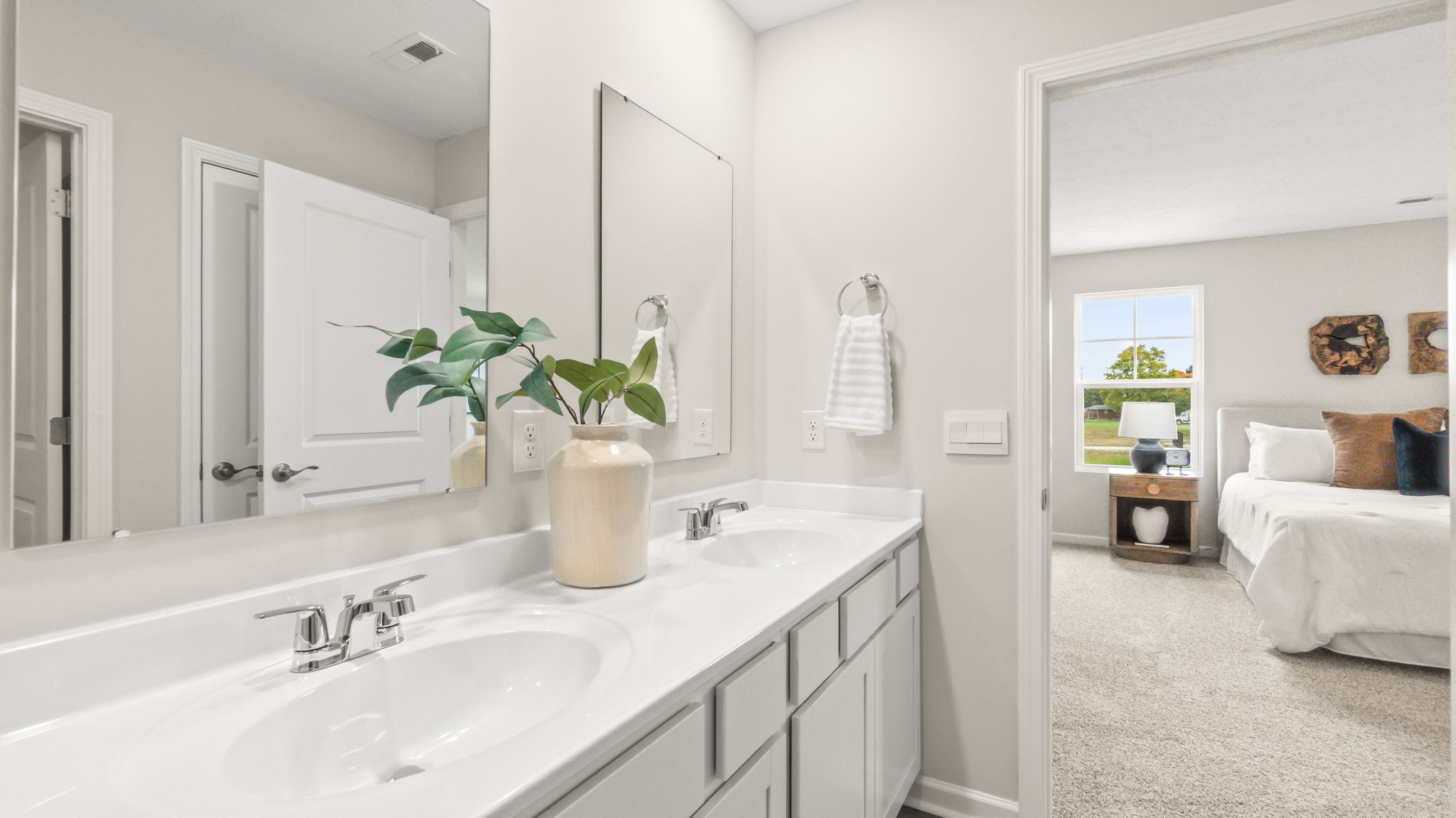 Closeup of bathroom countertop with plant, dual sink bowls, and dual mirrors