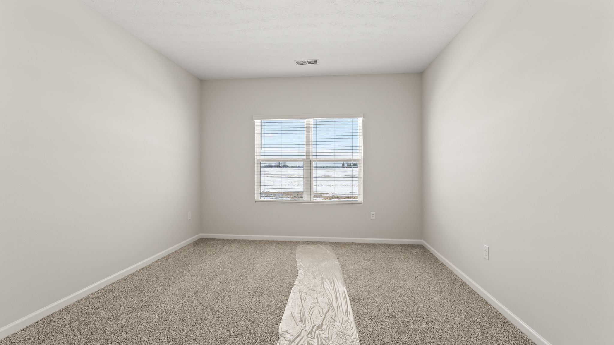 Carpeted primary bedroom with window