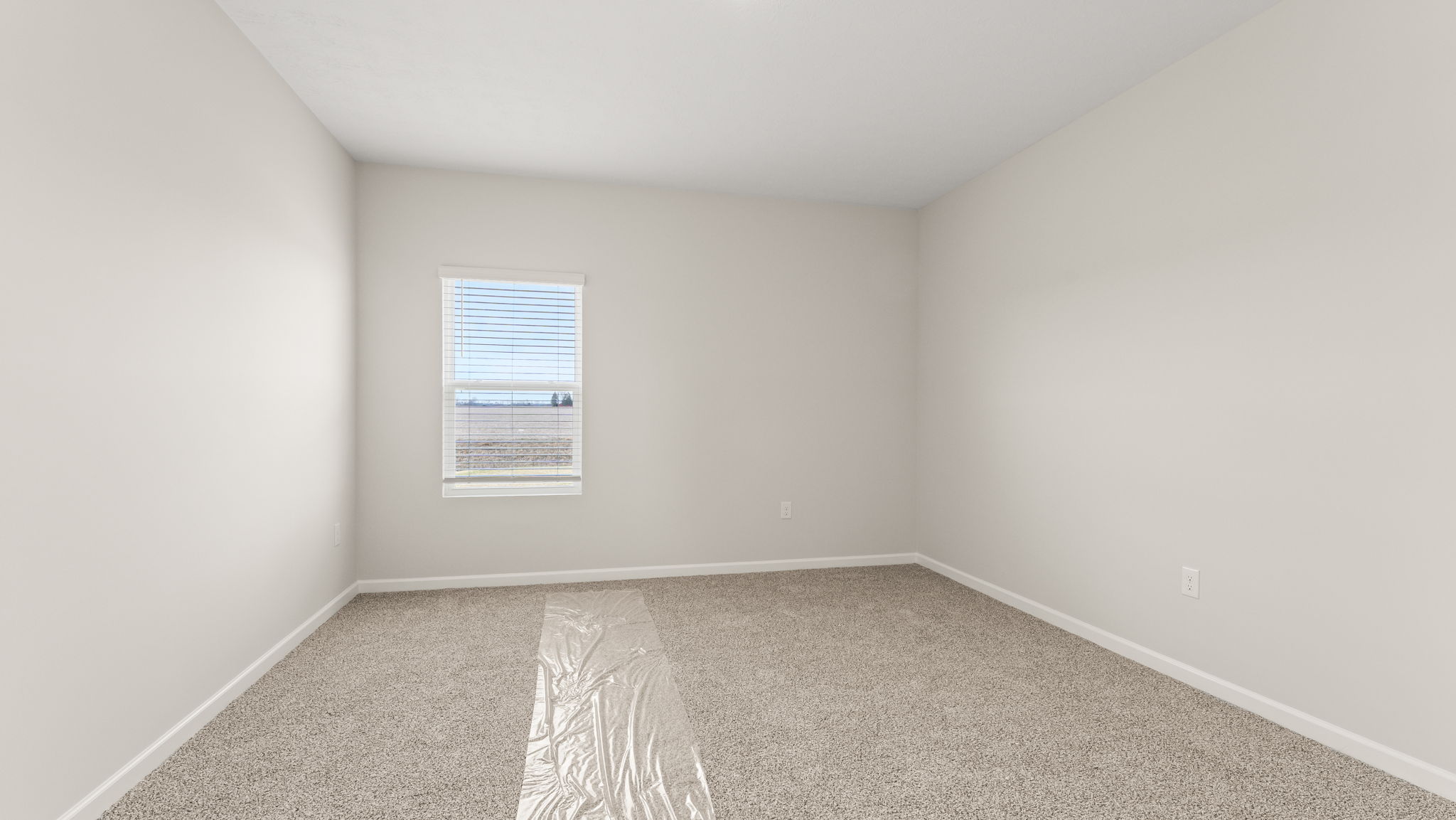 Primary bedroom with carpet and window.