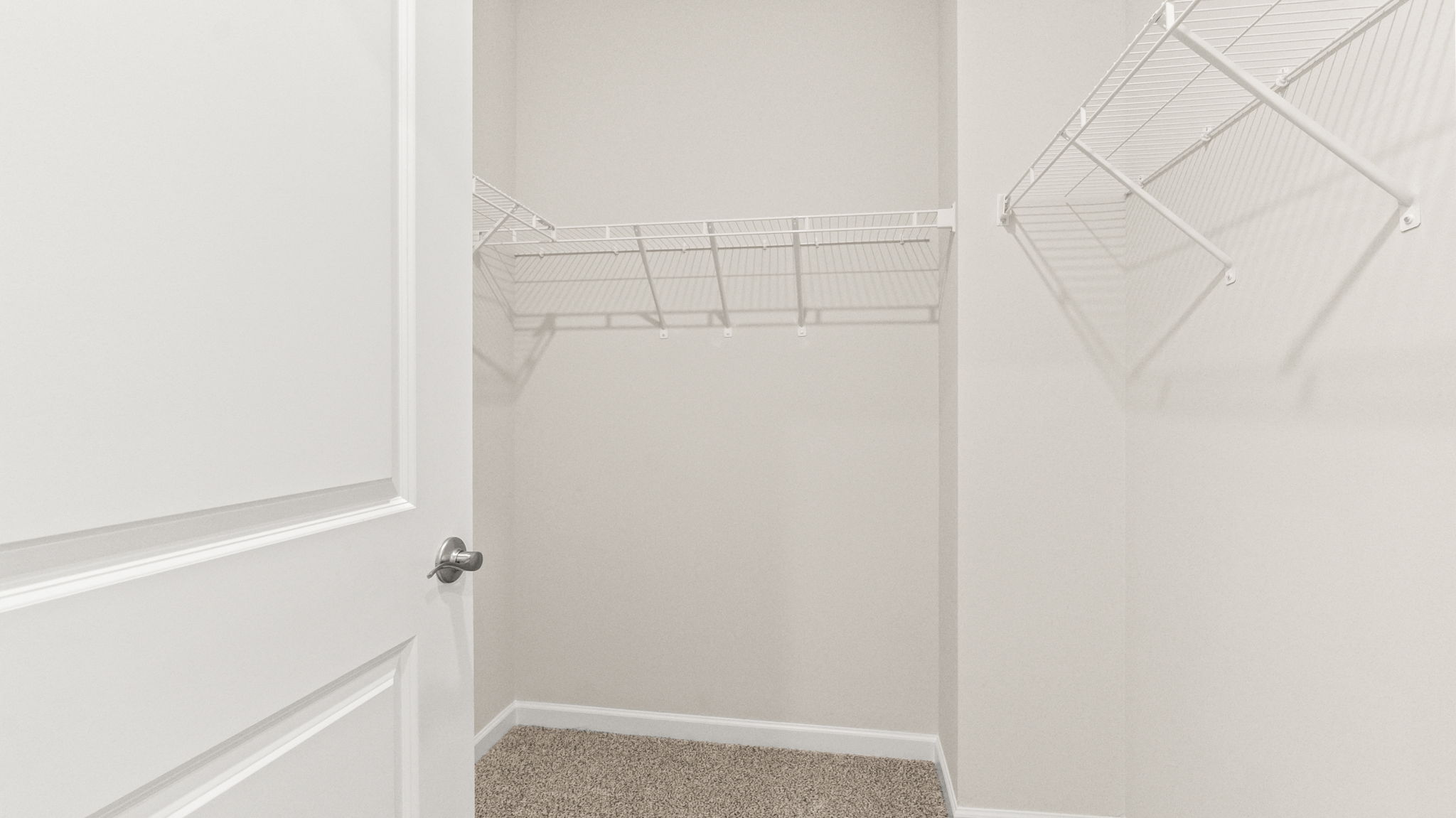 Walk-in closet with carpet and wire rack shelving