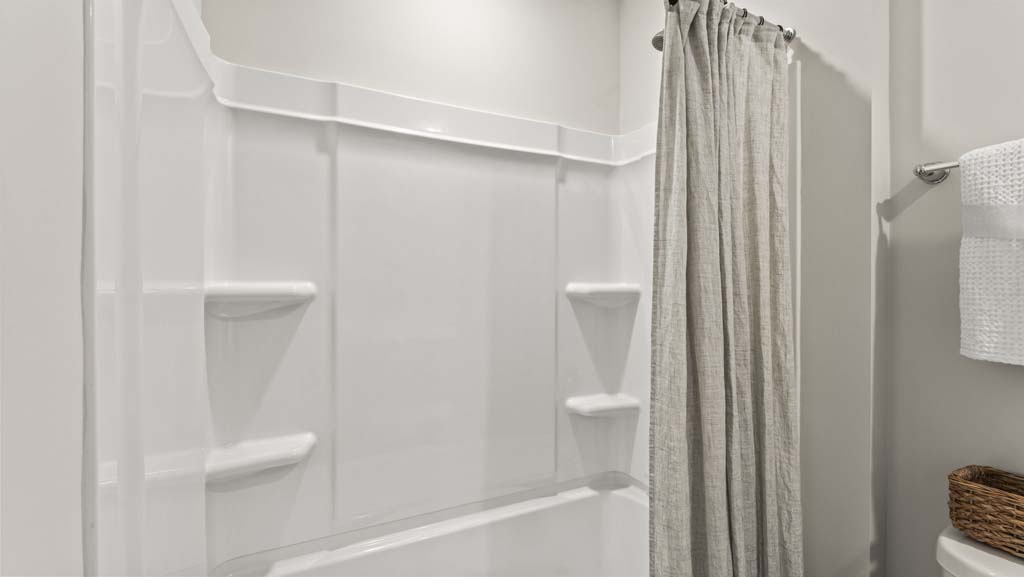 Bathroom shower and tub with shelving