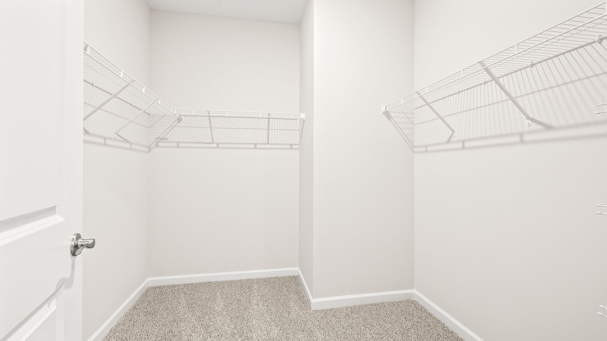 Empty walk-in closet with white wire shelving along both sides, light-colored walls, and carpeted flooring.
