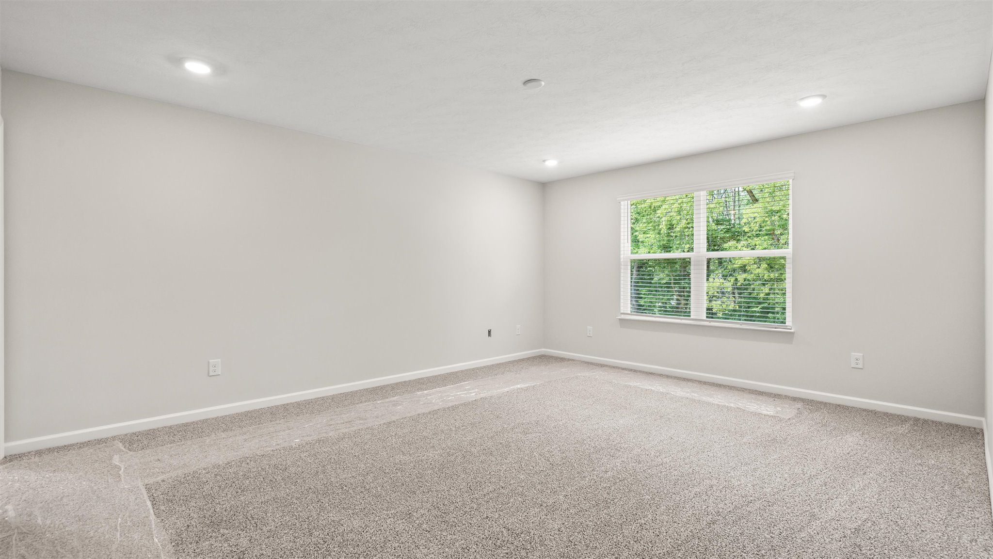 Primary bedroom with carpet and window