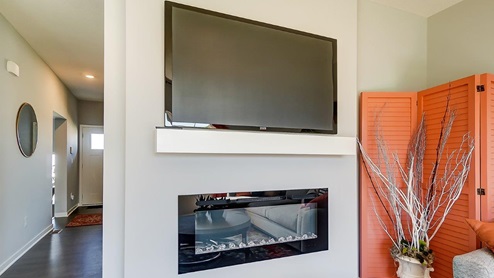 tv and electric fireplace