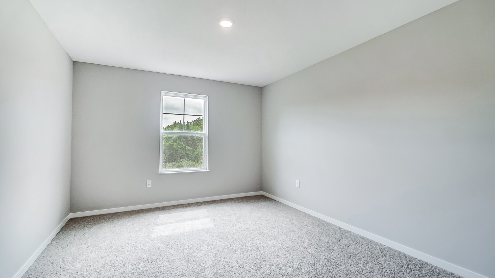 flex loft with single window