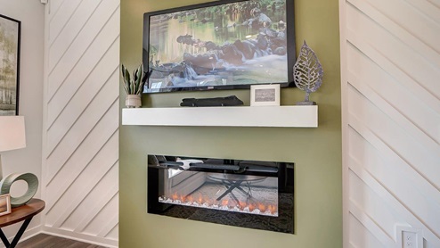 model tv and electric fireplace