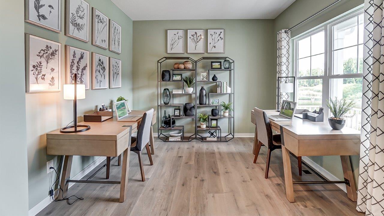 OV Model Pendelton Flex