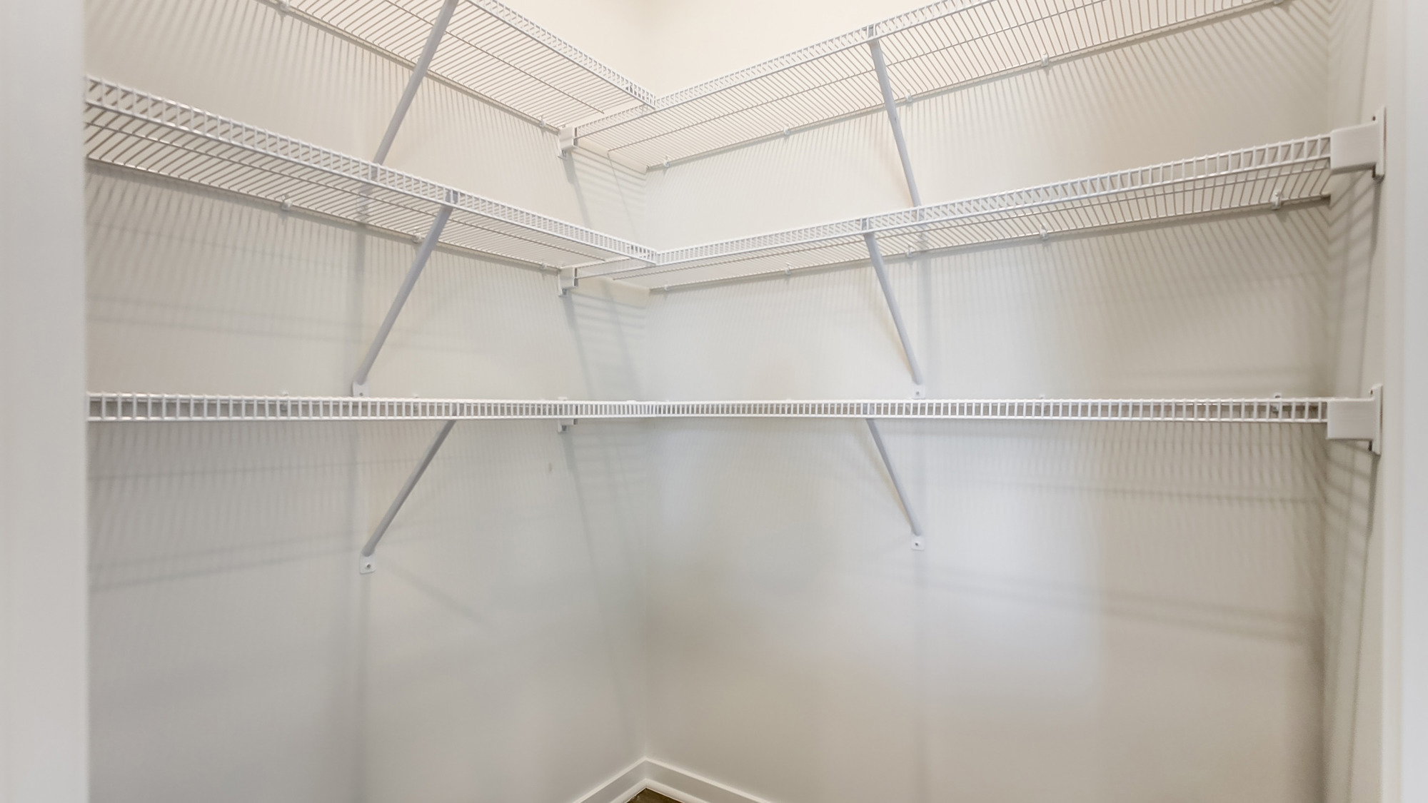 Spacious pantry with built in shelving.