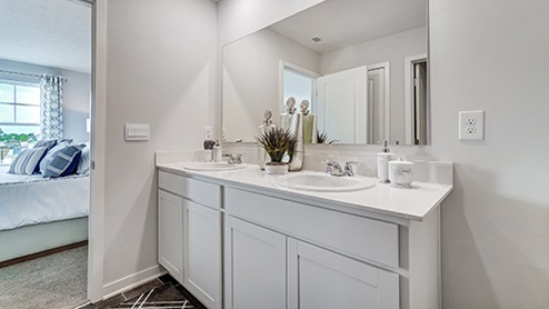 Walnut Mill Model Primary Bathroom