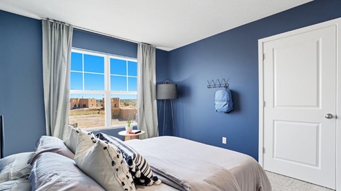 furnished third bedroom with double window