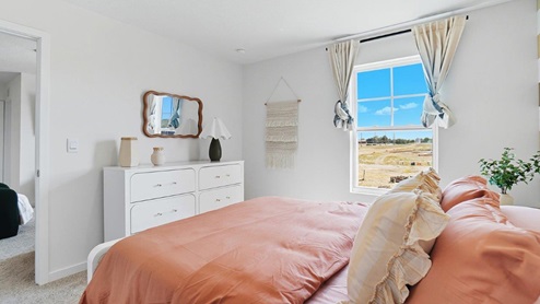 furnished second bedroom with single window
