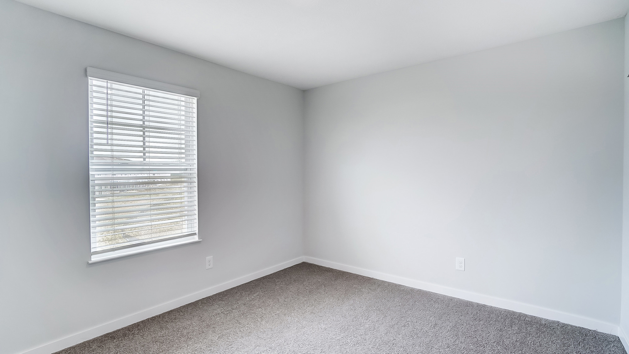 Earthtone carpeted bedroom with a single window.
