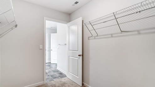 walk in closet with wire shelving and entry