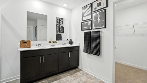 primary ensuite bath with walk in closet