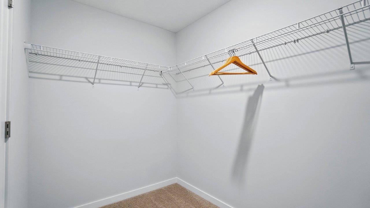 spacious walk in closet with built in shelves