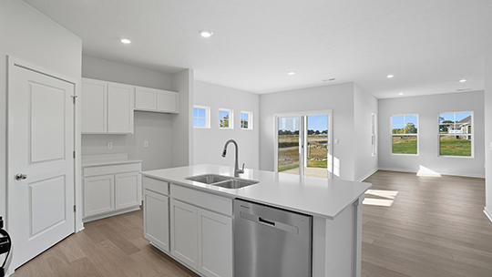 Arlington kitchen with white cabinets