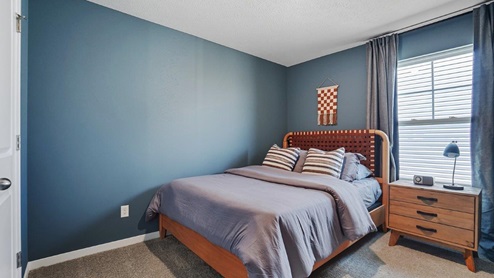 furnished third bedroom with single window