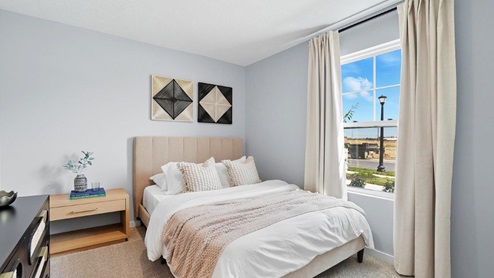 furnished second bedroom with single window