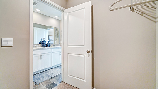 primary walk in closet