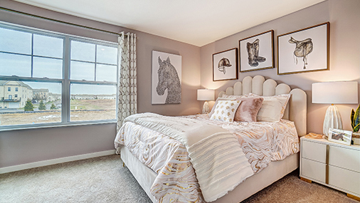 furnished third bedroom with double window