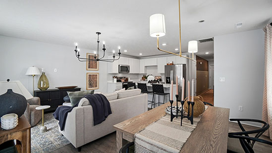 VG Pearson Great Room