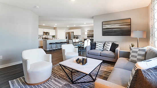 furnished great room and kitchen