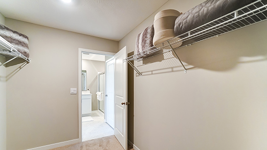 primary bedroom walk in closet