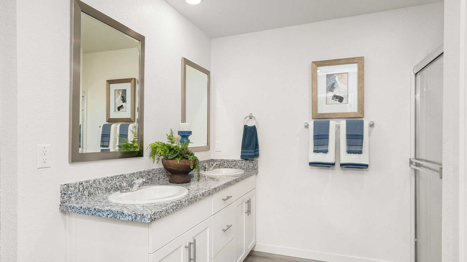 Harter Cali Plan 1825  primary bedroom with walk in shower