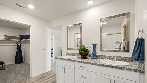 Harter Estates Plan 1825 Primary Bathroom Closet