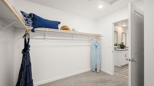 Harter Estates Plan 1825 Primary Bedroom Closet