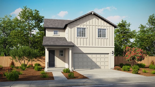 Elevation Rendering