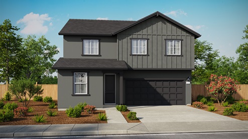 Elevation Rendering