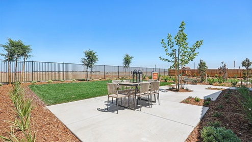 Backyard with lots of room