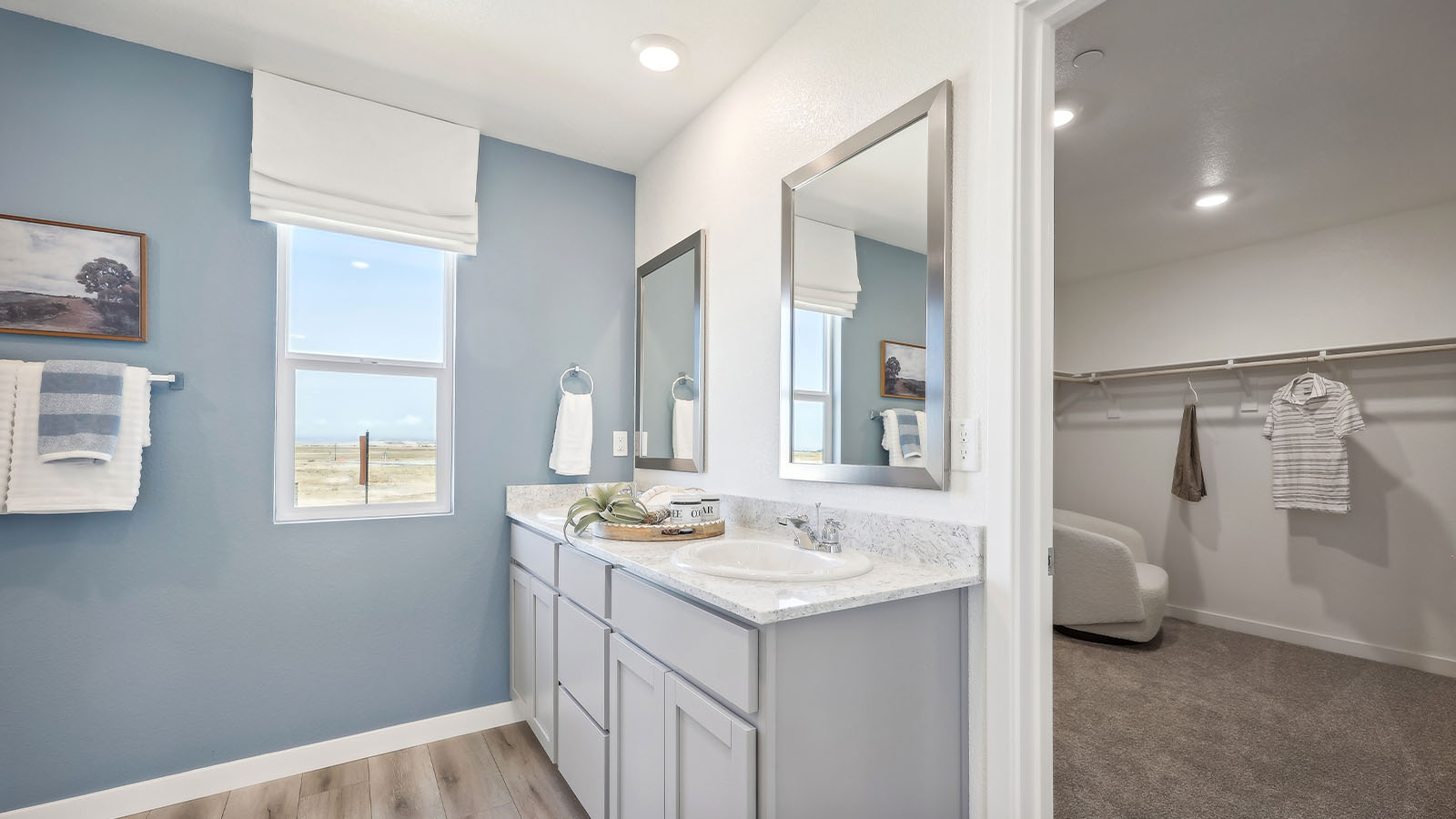 Aviara at Amoruso Ranch Plan 2617 Primary Walkin Closet