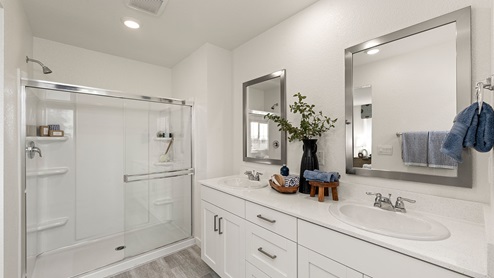 Owners bathroom