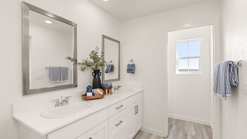 Owners bathroom