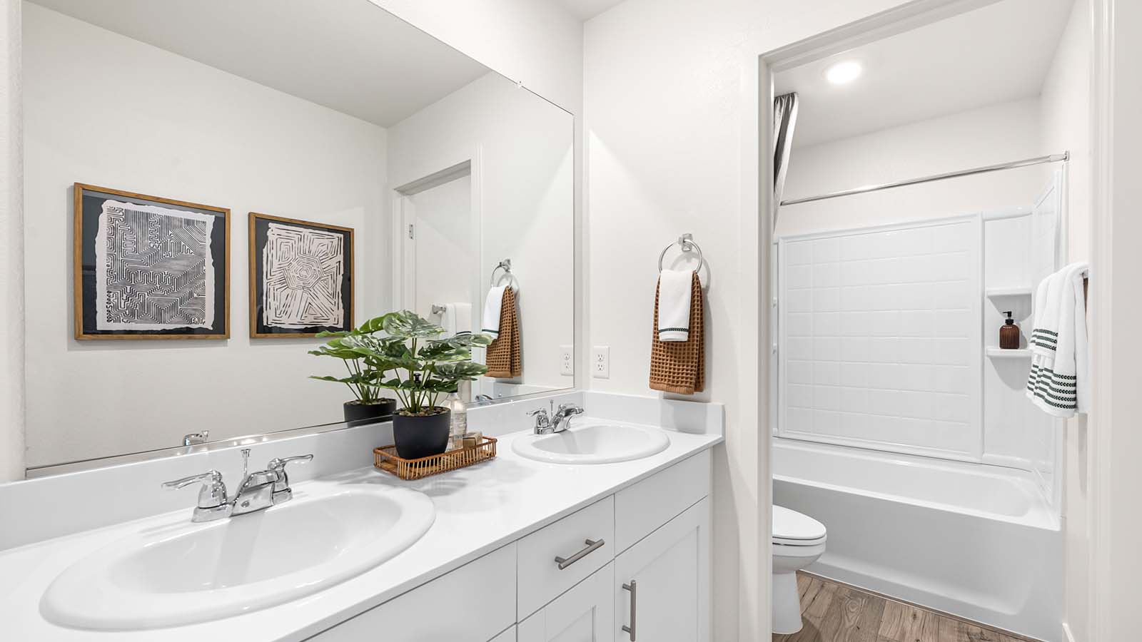 Amber Lynn Estates Plan 1811 Spa Inspired Primary Bathroom