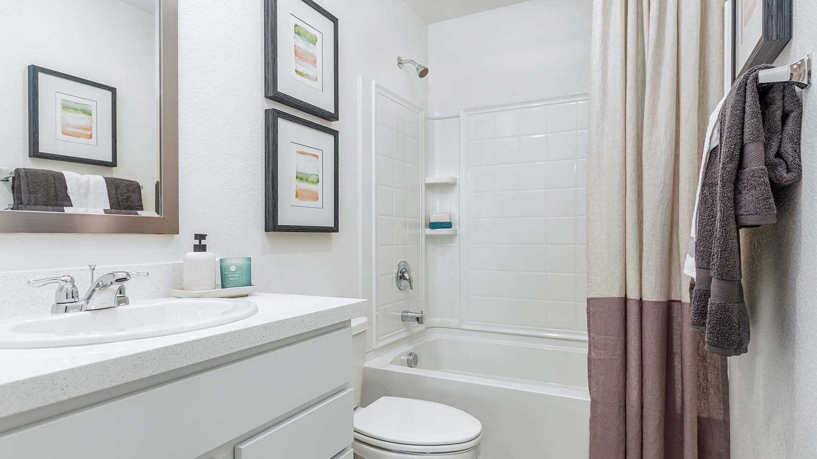 Dragonfly at Winding Creek Plan 1567 Bathroom