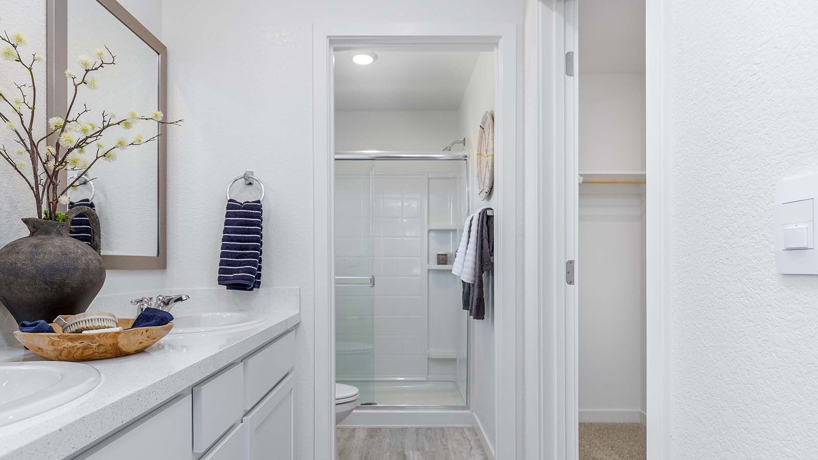 Dragonfly II at Winding Creek Plan 1631  Spa Inspired Primary Bathroom