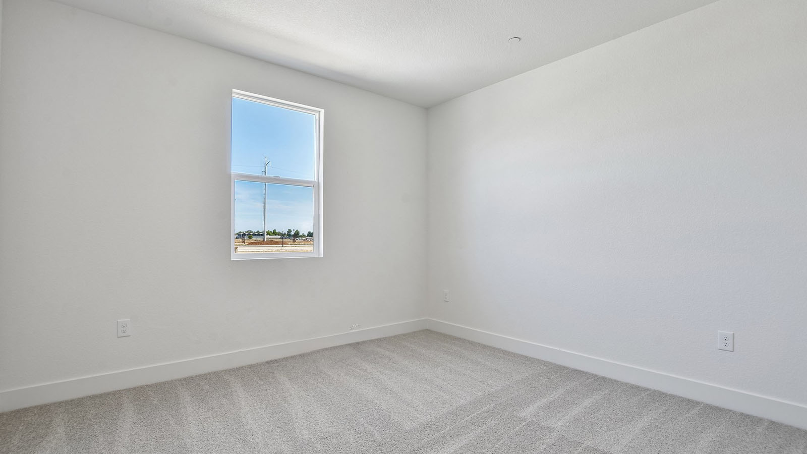 downstairs bedroom