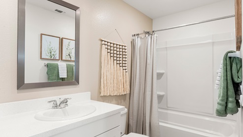 Skylar Plan 1296 Secondary Bathroom
