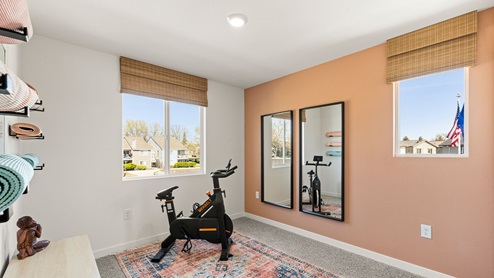 Skylar Plan 1387  Home Gym
