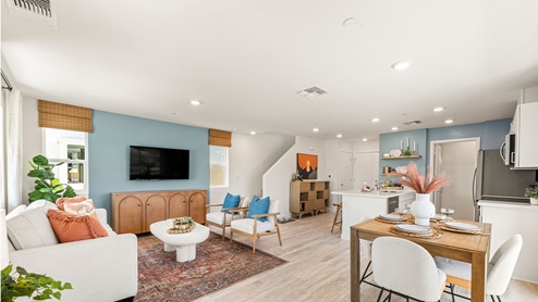 Skylar Plan 1387 Overall