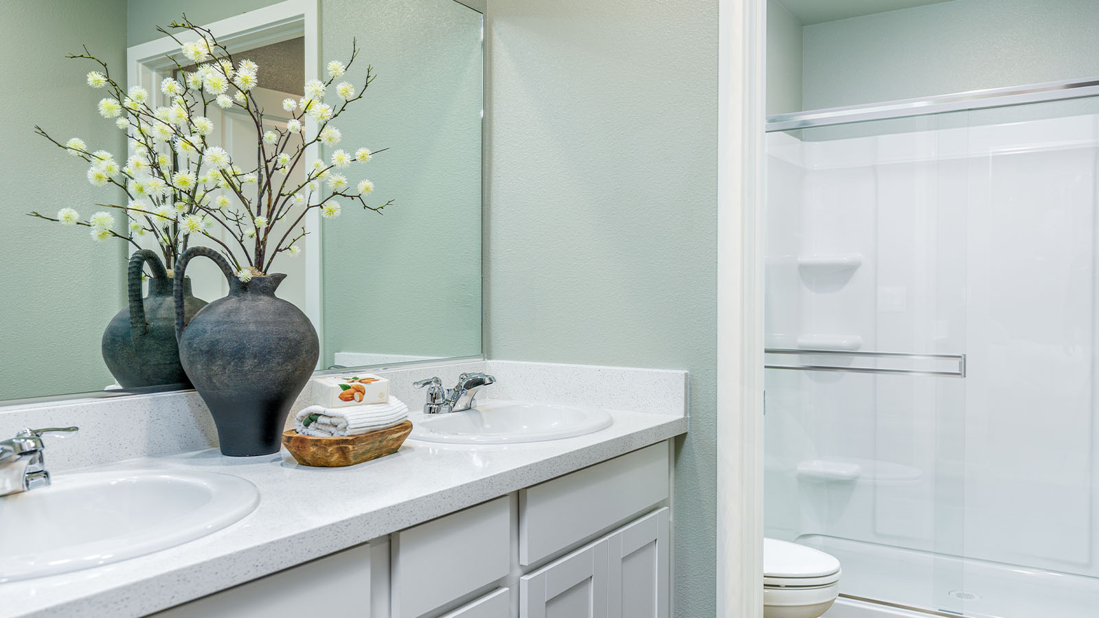 Arroyo at Salt Creek Plan 1567 Spa Inspired Primary Bathroom