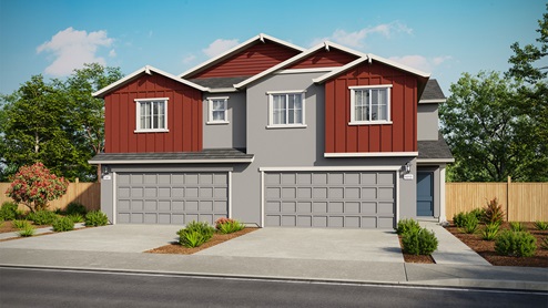 Elevation Rendering