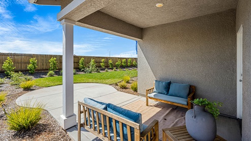 Backyard patio with lawn and landscaping model decorator feature